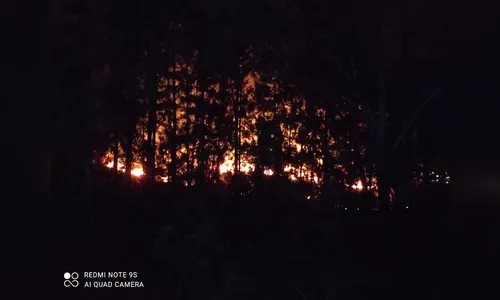 Incêndio de grandes proporções atinge vegetação na região do Parque da Raposa; vídeo