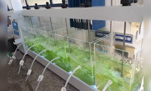 Sanepar detém patente para produção de etanol a partir do esgoto