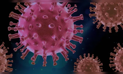 Apucarana registra mais 29 casos de covid, neste sábado