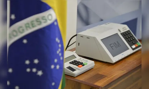 Saiba como os crimes eleitorais podem ser denunciados
