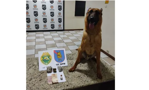 Cão da PM encontra drogas e traficante de 18 anos é preso