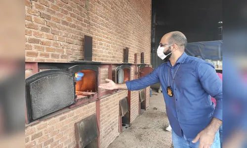 Polícia Civil de Ivaiporã incinera mais de 50 Kg de drogas; assista