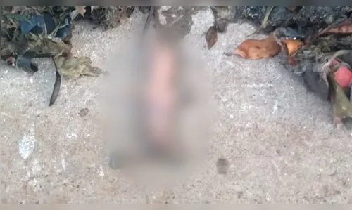 Feto é encontrado em estação de tratamento de água