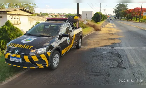 Agentes de trânsito aplicam serragem na rodovia com óleo derramado