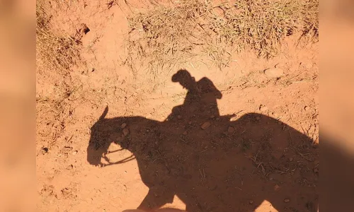 Homem amarra cavalo em terreno e encontra corpo