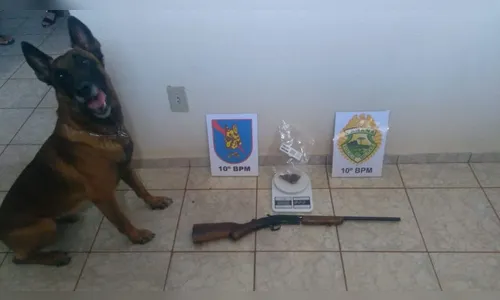 PM apreende maconha e arma em Marumbí; homem foi preso