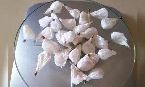 PM apreende 24 buchas de cocaína na casa de suspeito