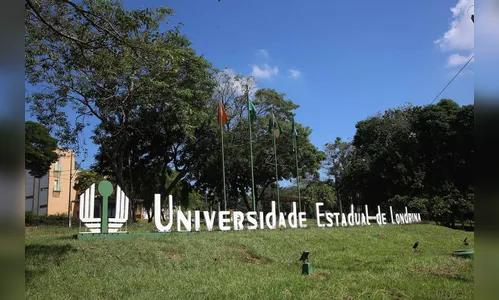 Pesquisa da UEL avalia sequelas nos recuperados da Covid-19