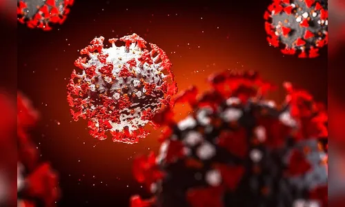 Arapongas registra 17 novos casos de Coronavírus e seis curados