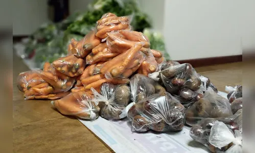 Estado abre chamada pública para agricultura familiar