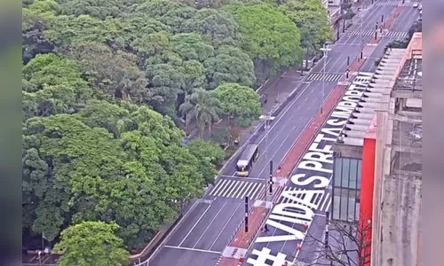 Avenida Paulista amanhece com a pintura #Vidas Pretas Importam