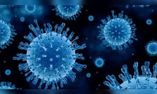 Sesa registra 814 novos casos e 7 mortes pela Covid-19