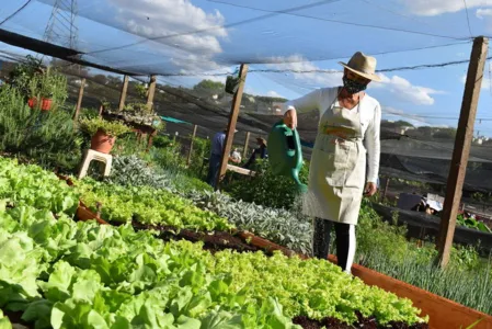 Cultivar Energia doa materiais para horta em Maringá