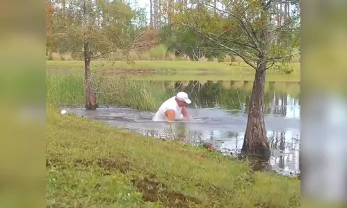 Idoso de 74 anos luta contra crocodilo para salvar cachorro; assista