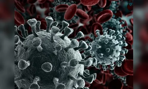 Recorde: Apucarana registra 55 casos de Covid-19