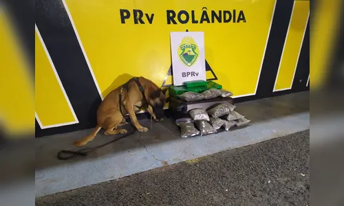 Mulher de 26 anos é presa com mais de 15 quilos de maconha; assista