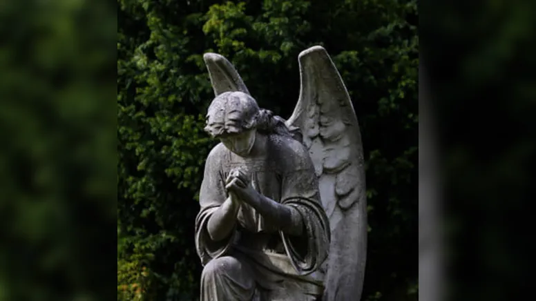 Imagem ilustrativa da notícia Anjos de novembro: dia 11