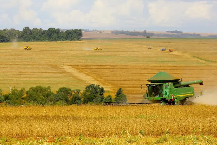 Paraná deve produzir 24 milhões de toneladas na safra de verão