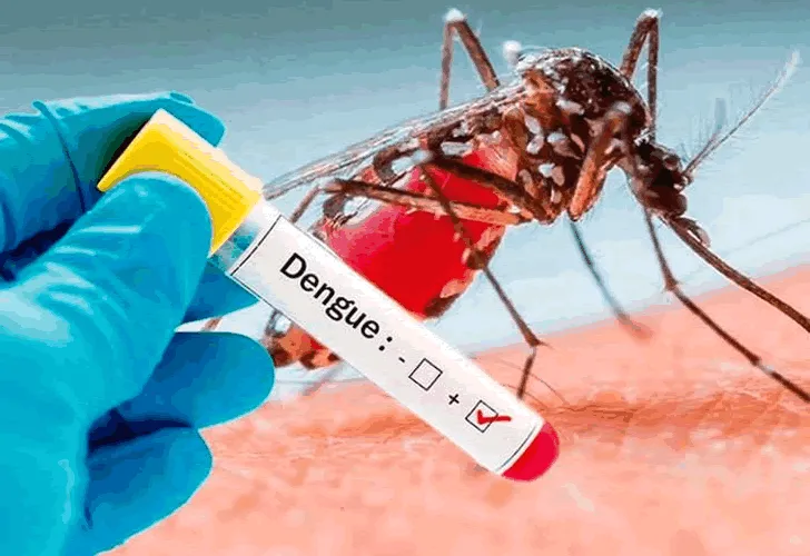 Saúde alerta que casos de dengue podem aumentar no Verão