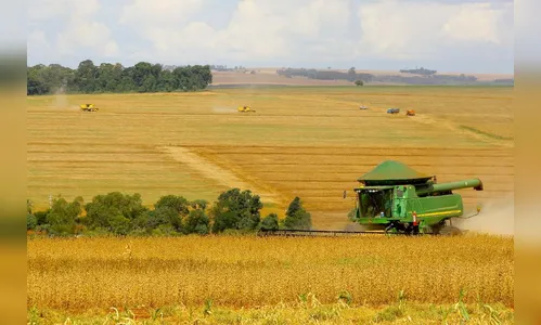 Paraná deve produzir 24 milhões de toneladas na safra de verão
