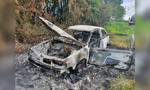 Veículo carbonizado é encontrado no Parque da Raposa