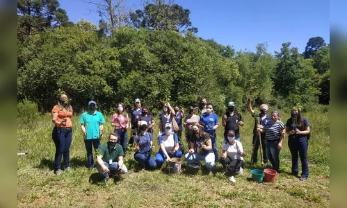 Ponta Grossa e Pitanga plantam mais de 2,1 mil árvores nativas