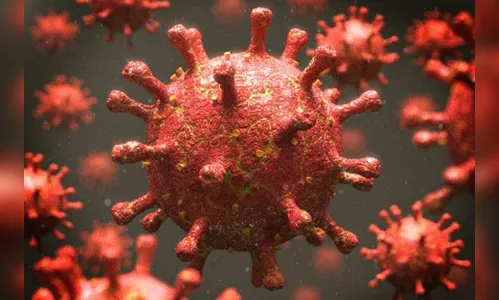 Saúde de Arapongas confirma 12 novos casos de Covid-19