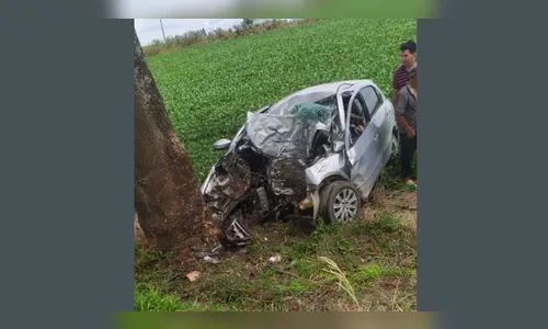Motorista morre em choque contra árvore na BR-373