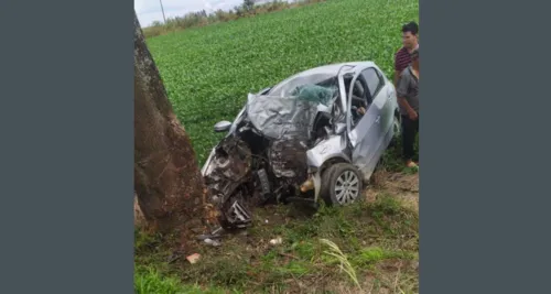 O carro  bateu de frente com uma árvore às margens da rodovia