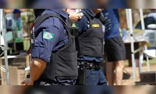 Mulher denuncia vizinho por maus tratos com gatos; GM é acionada