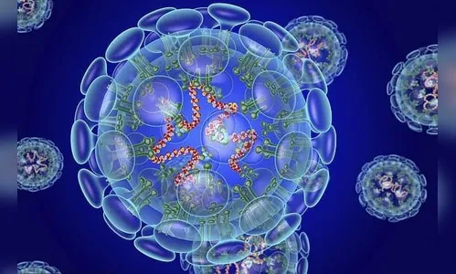 Arapongas registra 119 novos casos e nove curados de Covid-19