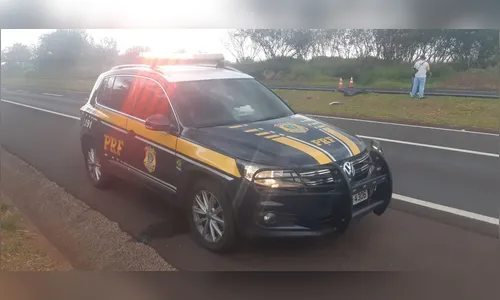 Atropelamento com morte é registrado na BR-376