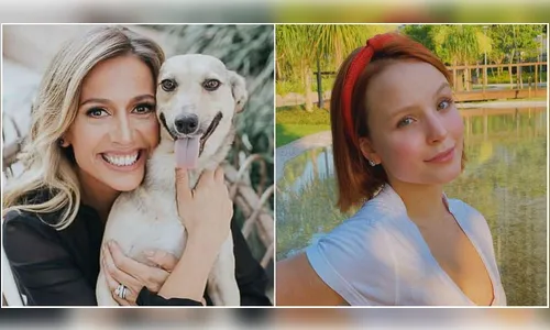 Luisa Mell critica Larissa Manoela por doação de cadela adotada