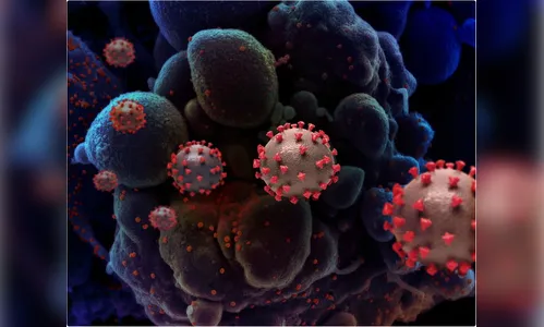 Apucarana registra mais duas mortes e 70 casos de Covid-19