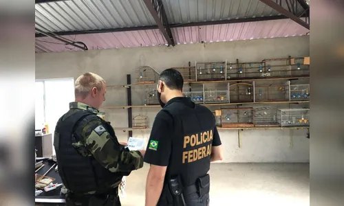 PF deflagra Operação Urutau 2 com desdobramento no Paraná