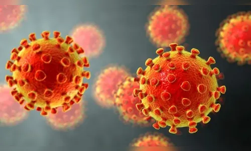 25 mulheres e 24 homens testam positivo para Covid-19 em Apucarana