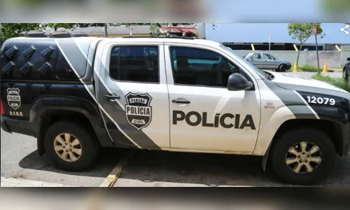 PC de Apucarana realiza prisão em conjunto com DENARC Londrina