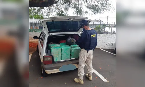 PRF apreende mais de 280 quilos de maconha na BR-376