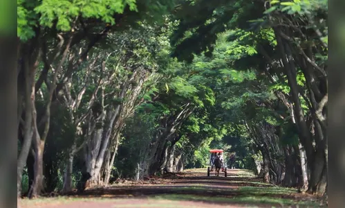 Turismo rural é opção para aumentar a renda no campo