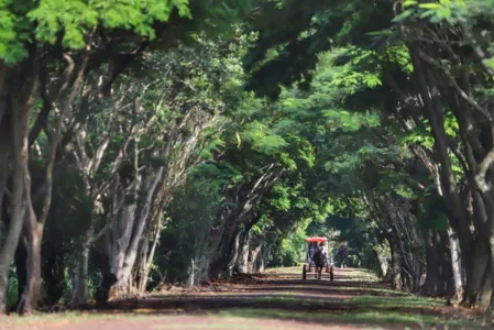 Turismo rural é opção para aumentar a renda no campo