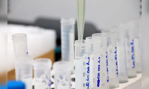 Tecpar tem chamamentos públicos na área de saúde que encerram em janeiro