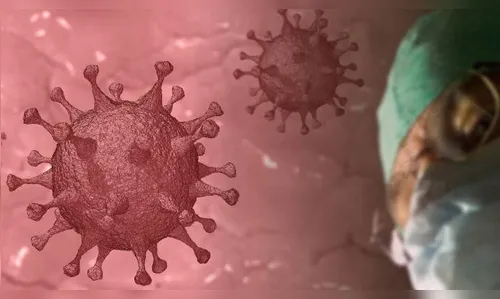 Arapongas divulga 15º Boletim Epidemiológico da Covid-19