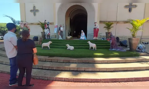 Visitantes aprovam presépio da Catedral em Apucarana; Vídeo
