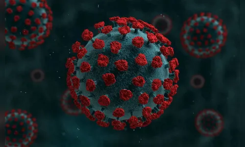 Apucarana confirma mais dois óbitos e 80 casos de Covid-19