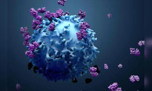 Londrina registra mais 229 e duas mortes por Covid-19