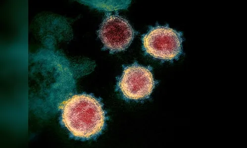 Paraná confirma 59 óbitos e 2.351 novos casos da Covid-19