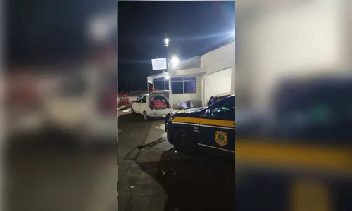 PRF apreende mais de duzentos quilos de maconha em Campo Mourão