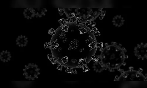 Apucarana registra 19 novos casos de coronavírus e dois óbitos