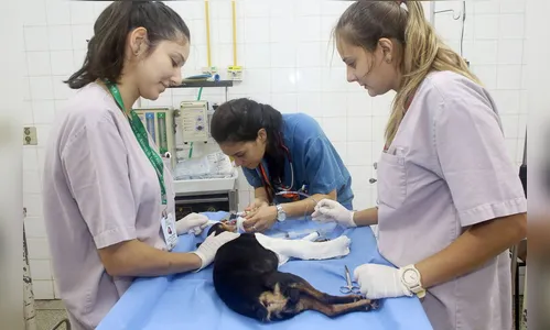 Cursos das Universidades Estaduais se destacam em avaliação do MEC