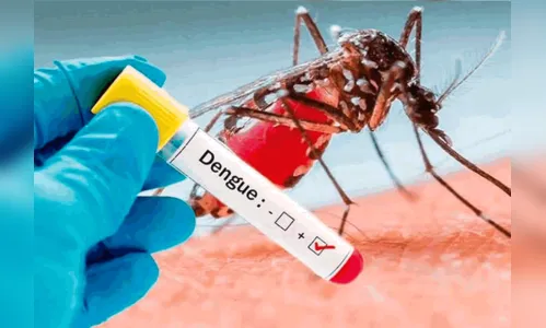 Saúde alerta que casos de dengue podem aumentar no Verão